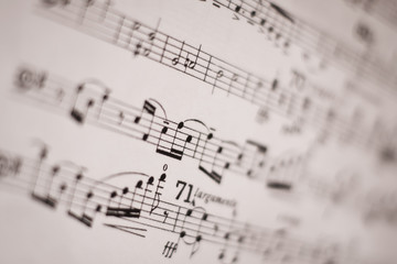 Naklejka premium musical score