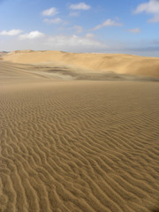 Fototapeta na wymiar Namib Desert