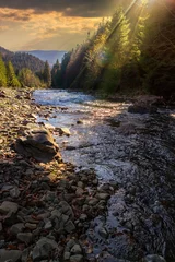 Fototapete Rund forest river with stones and moss at sunset © Pellinni