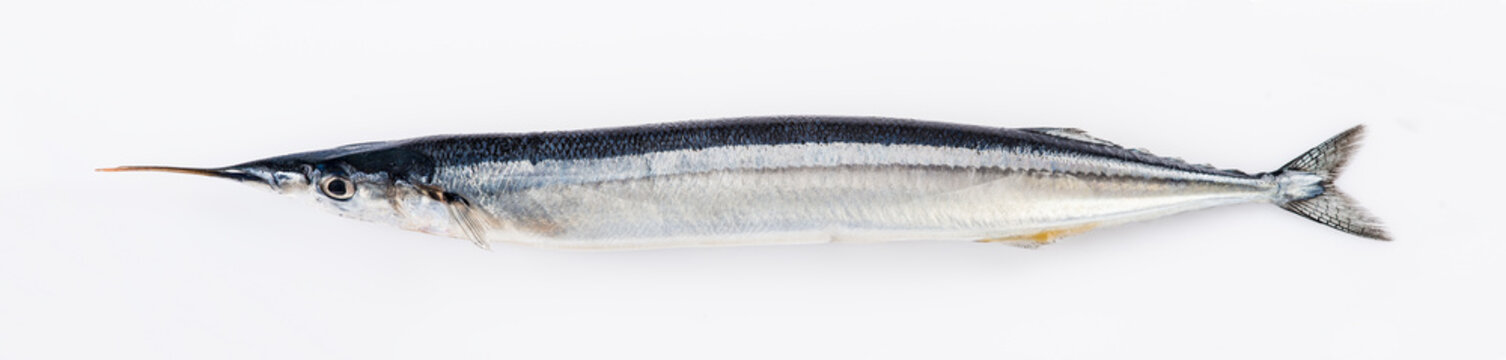 Agujas, pescado azul para una dieta saludable