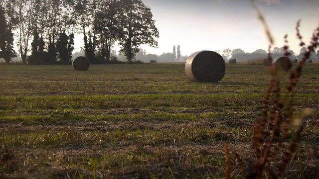 Rolls of hey at the countyside