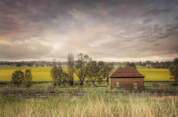 Abandoned Railway Shed Cowra