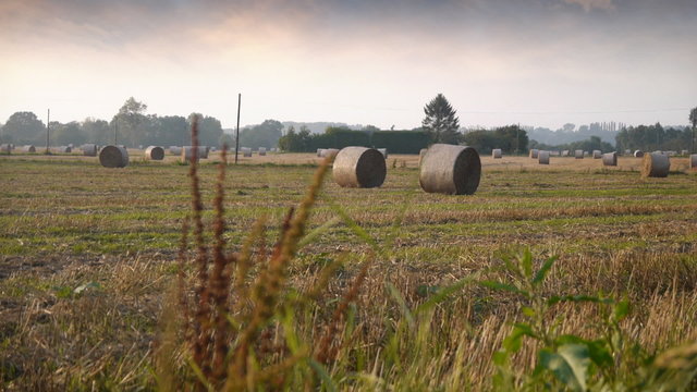 Rolls of hey in Normandy, France