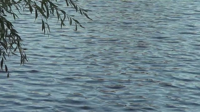 Wellen im Wasser