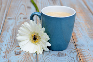blauwe koffiekop met witte gerbera op oud hout