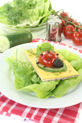 Knäckebrot mit Käse, Salat und Marienkäfer