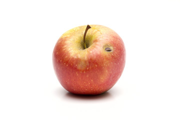 apples on the white background