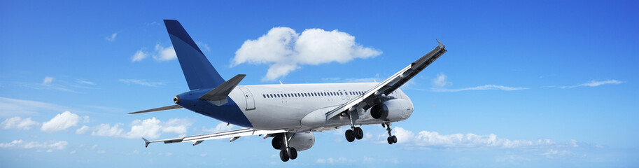 Fototapeta na wymiar Jet plane in a blue sky