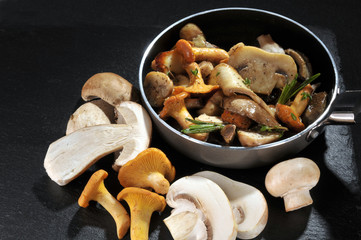 Fototapeta na wymiar champignons variés