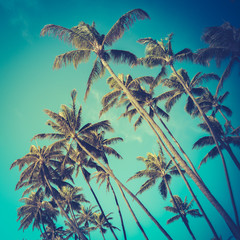 Fototapeta na wymiar Retro Diagonal Palm Trees In Hawaii