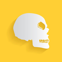 Skull symbol,clean vector