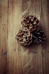 Pine Cones