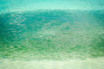 Fototapeta na wymiar Maldives sea