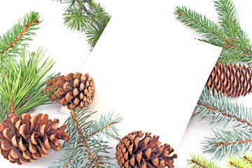 Fototapeta premium Pine cones and needles on white background