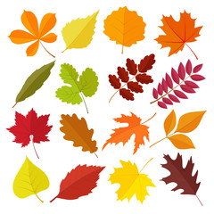 set of autumn leaves - 71274174