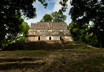 Top of a pyramid in Yaxchilan, Mexico - 71275158