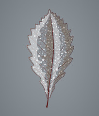 Autumn leafs silhouette. Illustration 10 version