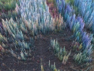 Città del futuro, grattacieli, fantascienza, astratto © Naeblys