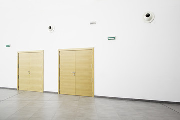 Office wooden doors