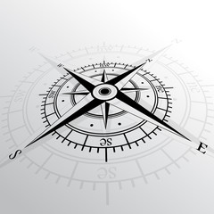 Wind rose background