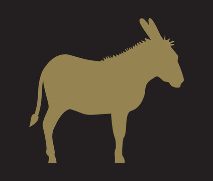 Silhouette of donkey