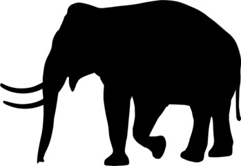 elephant silhouette