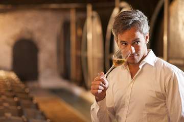 Professional winemaker smelling a glass of white wine in his tra