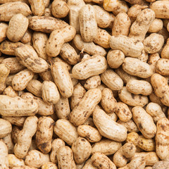 Peanuts In Shells