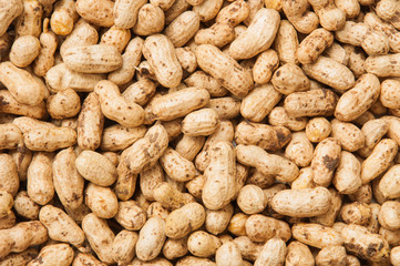 Peanuts In Shells