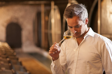 Professional winemaker smelling a glass of white wine in his tra