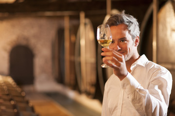 professional winemaker examining a glass of white wine in a trad