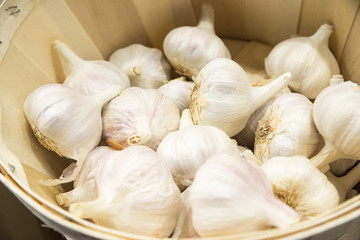 heads of garlic