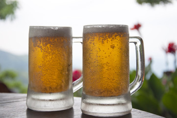 Two Mugs of Chilled Beer