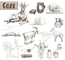 breeding goats - 71280398