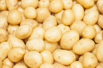 Background potatoes