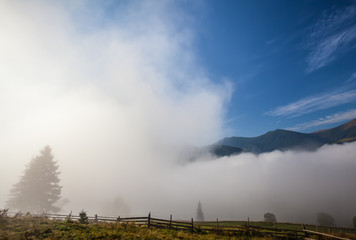 Fototapeta premium Dramatic clouds with mountain and tree