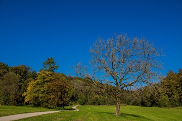 Maisinger Schlucht lädt zum Wandern ein