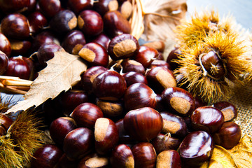 chestnuts