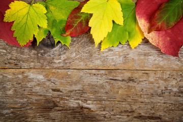 Naklejka na ściany i meble Autumn leaves on old wooden background