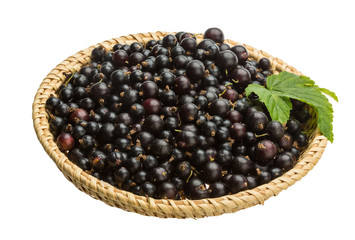 Black currant