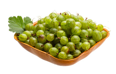 Gooseberry