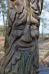 Fototapeta na wymiar Face in tree