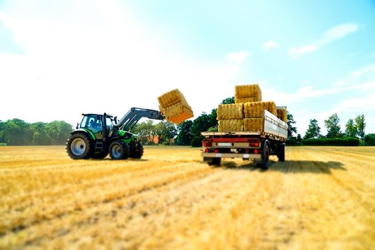 Strohernte, Verladen der Strohballen mit Frontlader