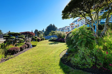 Beautiful backyard landscape design