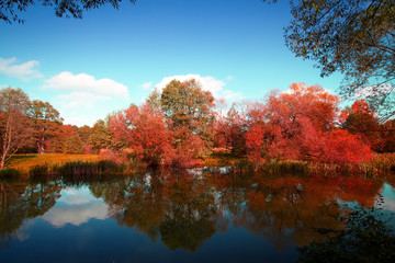 golden autumn on the lake.