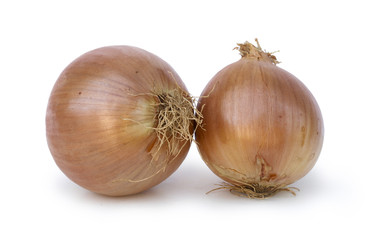 Onions on white background