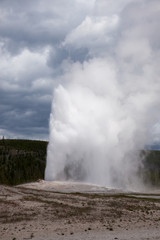 Old Faithful