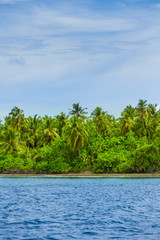 Fototapeta na wymiar Rest in Paradise - Malediven - Grüne Palmeninsel im Meer