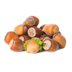 Pile of filbert nuts