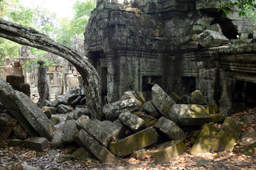 ASIA CAMBODIA ANGKOR TA PROHM